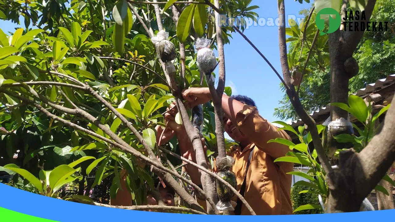 Gambar SMK HARAPAN BANGSA – Dompu, Nusa Tenggara Barat ke 2