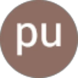 Review From pu ti