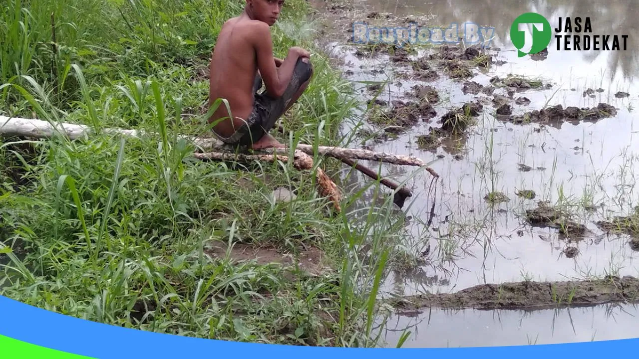 Gambar Sawah Abang Senggol: Jam Besuk, Ulasan, Alamat, dan Informasi Lainnya ke 3