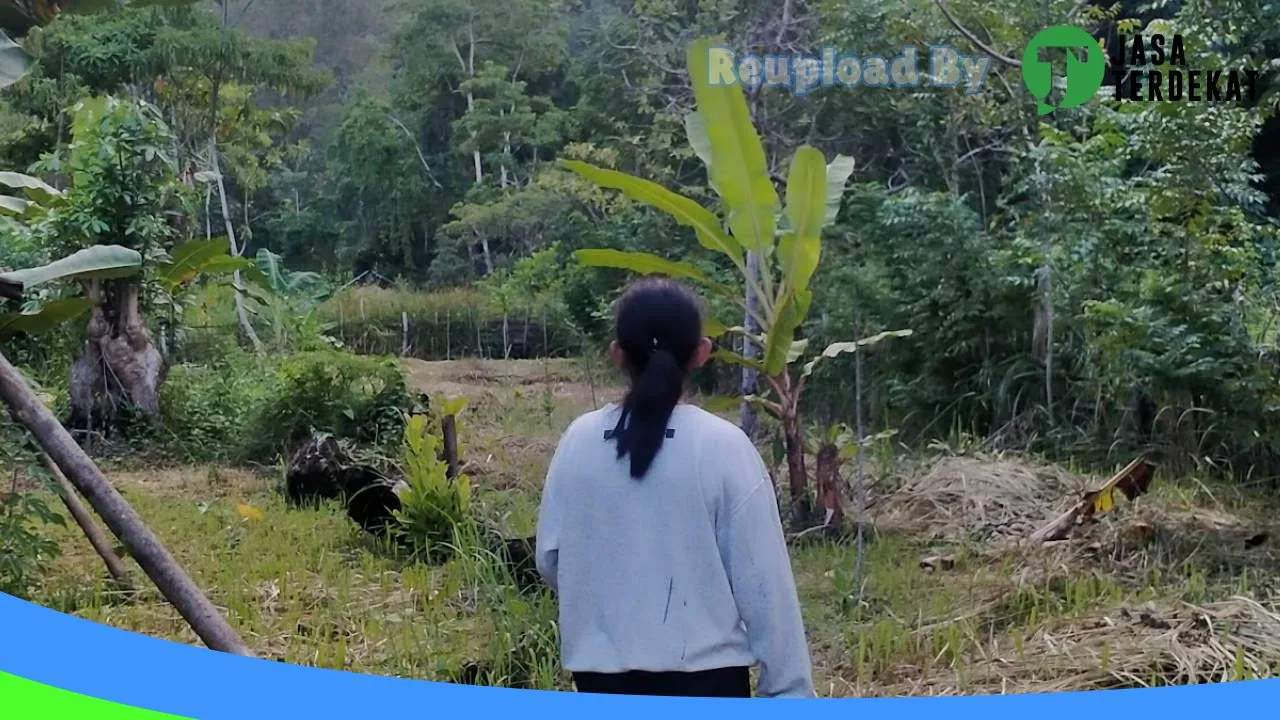 Gambar Rumah Sakit Letwurung – Maluku Barat Daya, Maluku ke 4