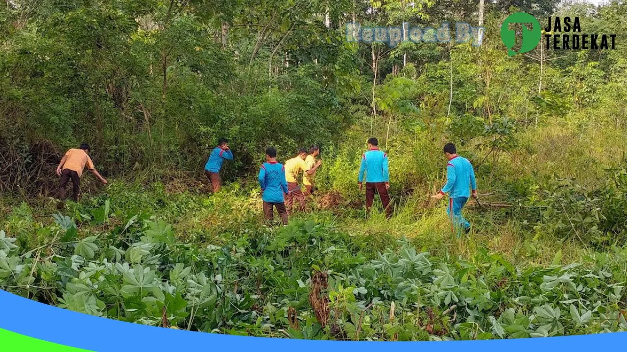 Gambar SMAN 3 TANJUNG – Tabalong, Kalimantan Selatan ke 4