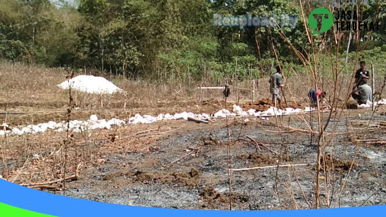 Gambar SMA NEGERI 2 WEWEWA TIMUR – Sumba Barat Daya, Nusa Tenggara Timur ke 4