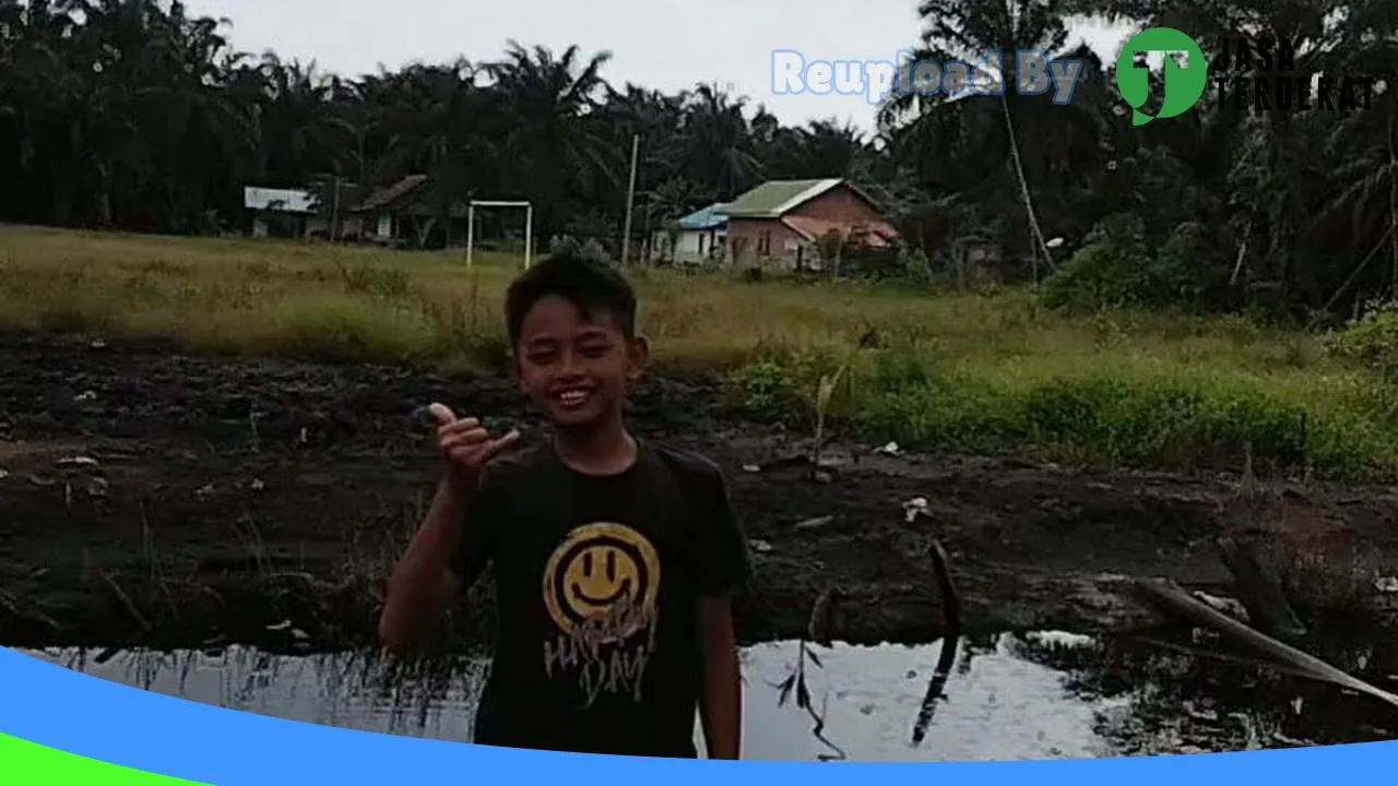 Gambar SMA N 2 PULAU RIMAU – Banyuasin, Sumatera Selatan ke 1