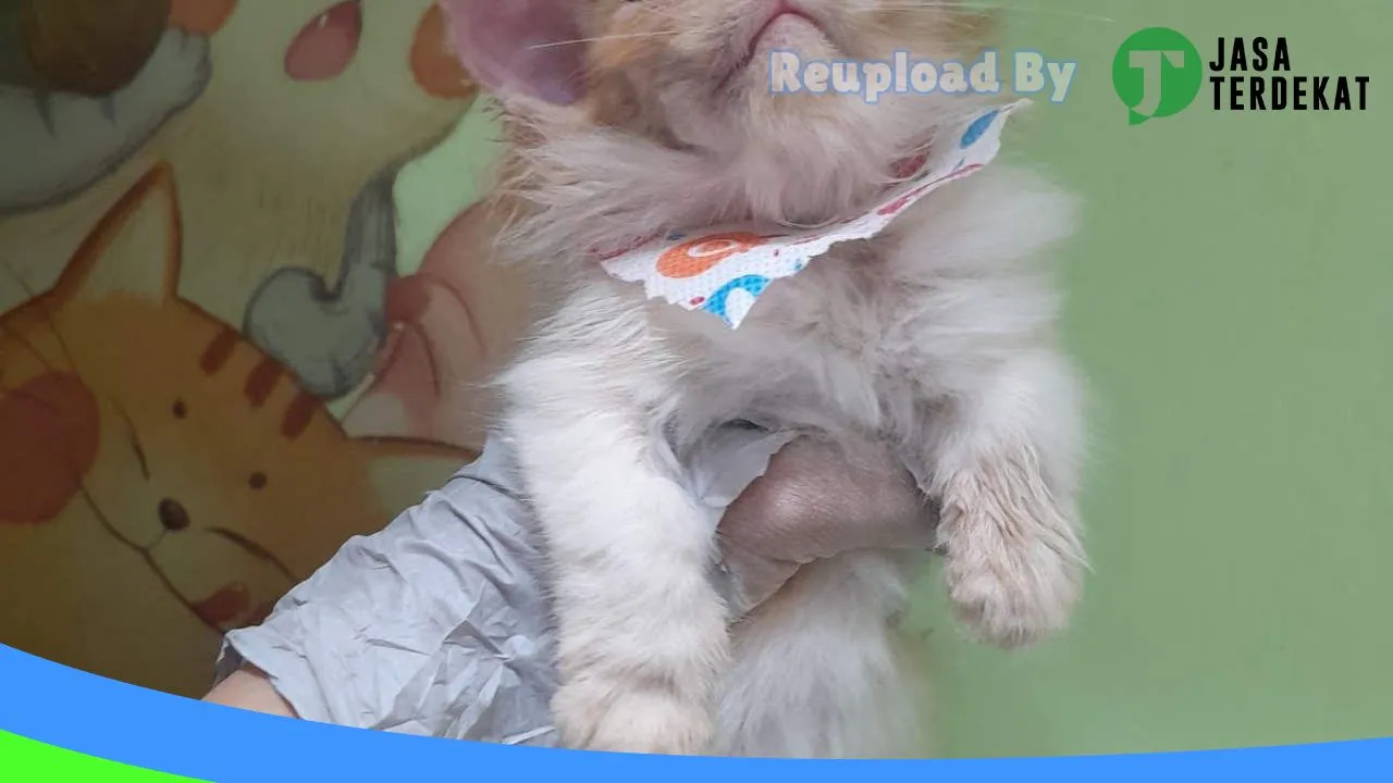 Gambar Dokter Hewan Blora (drh Tika), SteriL, Grooming, Home Visit,Pet Hotel: Jam Besuk, Ulasan, Alamat, dan Informasi Lainnya ke 3