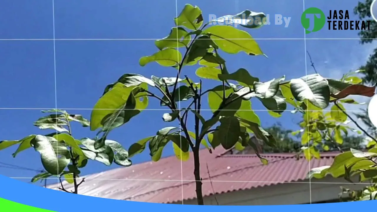 Gambar SMA Negeri 1 Kec. V Koto Kampung Dalam – Pariaman, Sumatera Barat ke 1