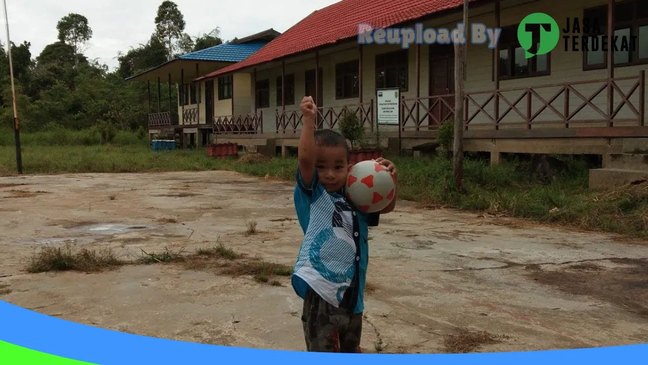 Gambar SMA SWASTA BINA ILMU – Barito Selatan, Kalimantan Tengah ke 3