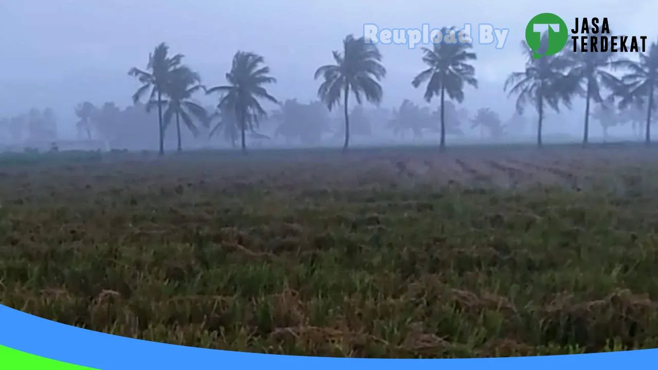 Gambar Sawah Abang Senggol: Jam Besuk, Ulasan, Alamat, dan Informasi Lainnya ke 4