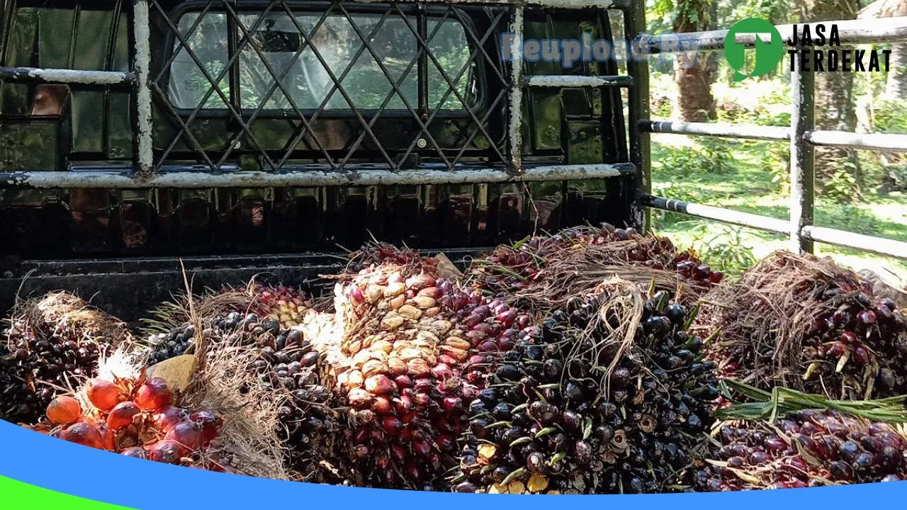 Gambar SMK Negeri 8 Bengkulu Utara – Bengkulu Utara, Bengkulu ke 1