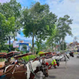 Review image Precin Salvan