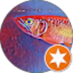 Review From Ama Channel
