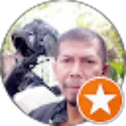Review From Deden Usna