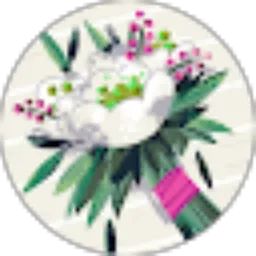 Review From roselyn