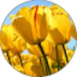 Review From verifikator rselisbakot