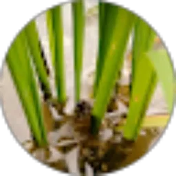 Review From Lasun. TV