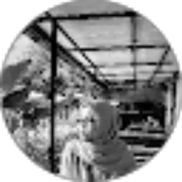 Review From Suciana Yuliawati