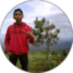 Review From dwi aji
