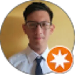 Review From Theodorus Olwyn