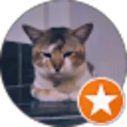 Review From wang thecat