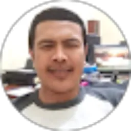 Review From Kris Dianto