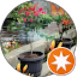 Review From TOWI'S CHANNEL