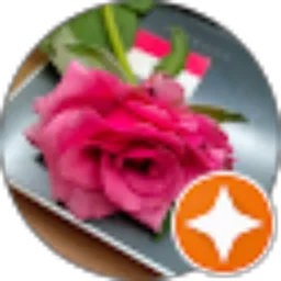 Review From Maryani yani