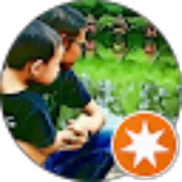 Review From Domroot's Domroot's