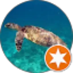 Review From Snorkeling Trips with Jhony