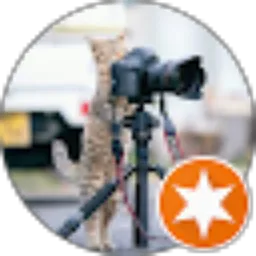 Review From Mohammad S. Azis