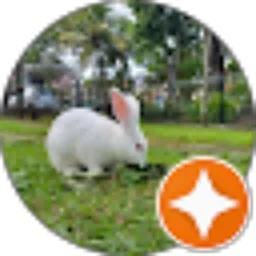 Review From Rina Wulandari