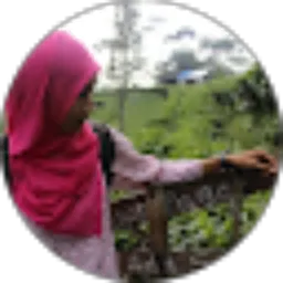 Review From Kusuma Dewi