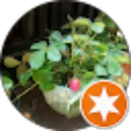 Review From Nur hamidah