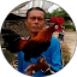 Review From Ayam Hutan Sumatera Jambi