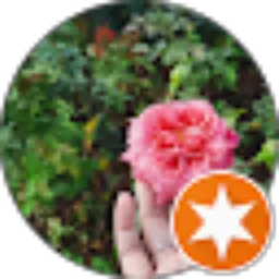 Review From ruly rose