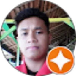 Review From Auliandi