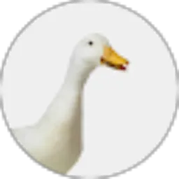 Review From dolan duck