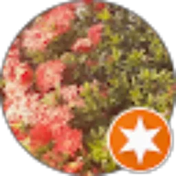 Review From PAIJO PAIJ0