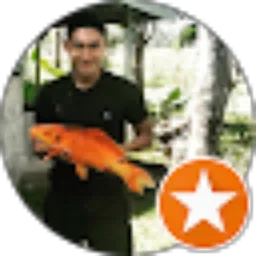 Review From Donny Mahendra