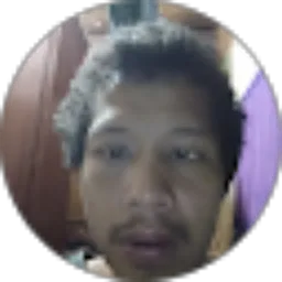 Review From Mahmul Sinaga