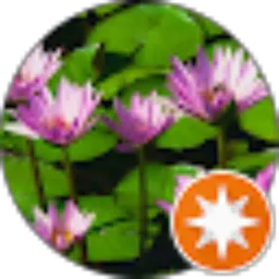Review From harry junior