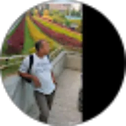 Review From Toto Wiharta