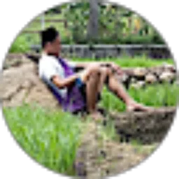 Review From Didi Suandi