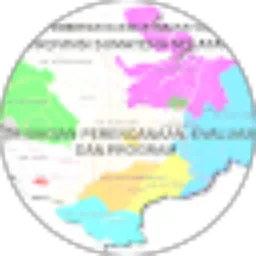 Review From Subbag program DPMD Prov sumsel