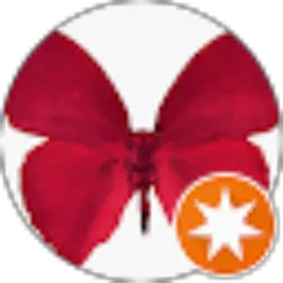 Review From ED