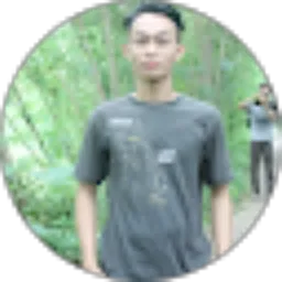 Review From cokro irawan