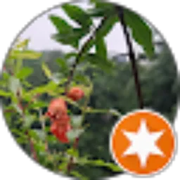 Review From ruchin ruchin