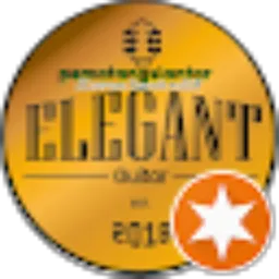 Review From Elegant guitar siantar