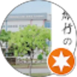 Review From Romirqelm