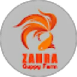 Review From zahra guppyfarm