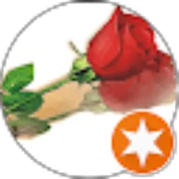 Review From Alex Sandra