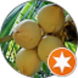 Review From Sumardiana